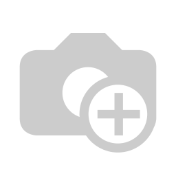 Ballerine Logo
