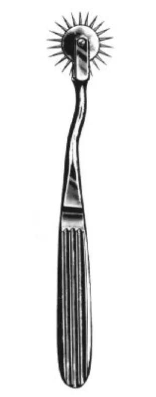 Pin-wheel, Wartenberg 19 cm